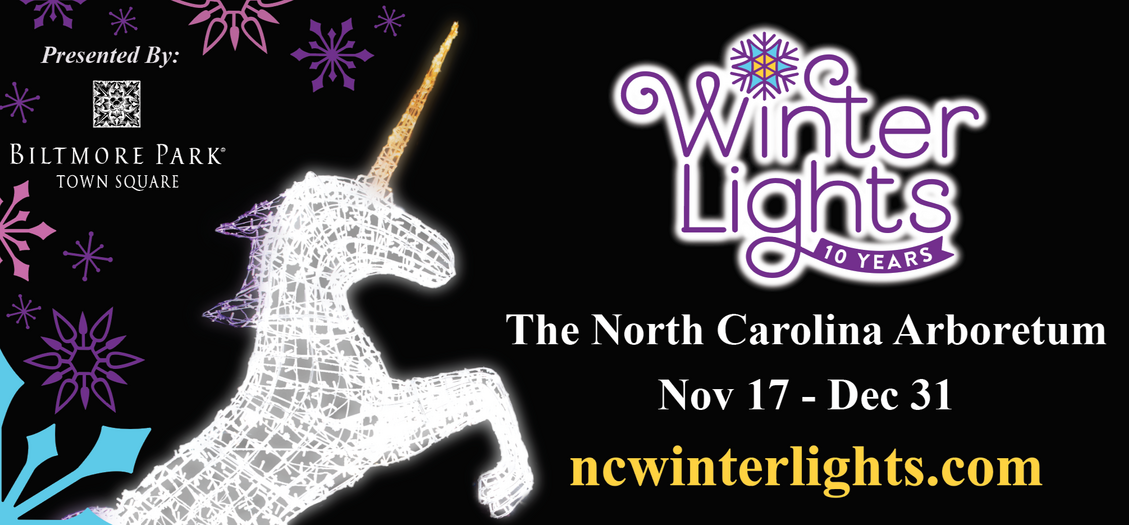 Winter Lights Billboard